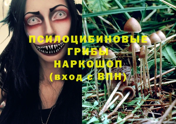 марихуана Медногорск
