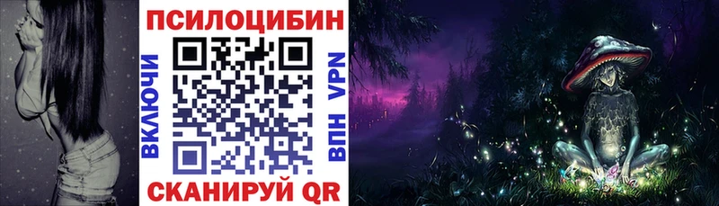 Псилоцибиновые грибы Psilocybine cubensis  кракен ТОР  Новосибирск 